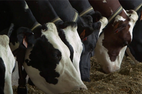 Agriculture Image