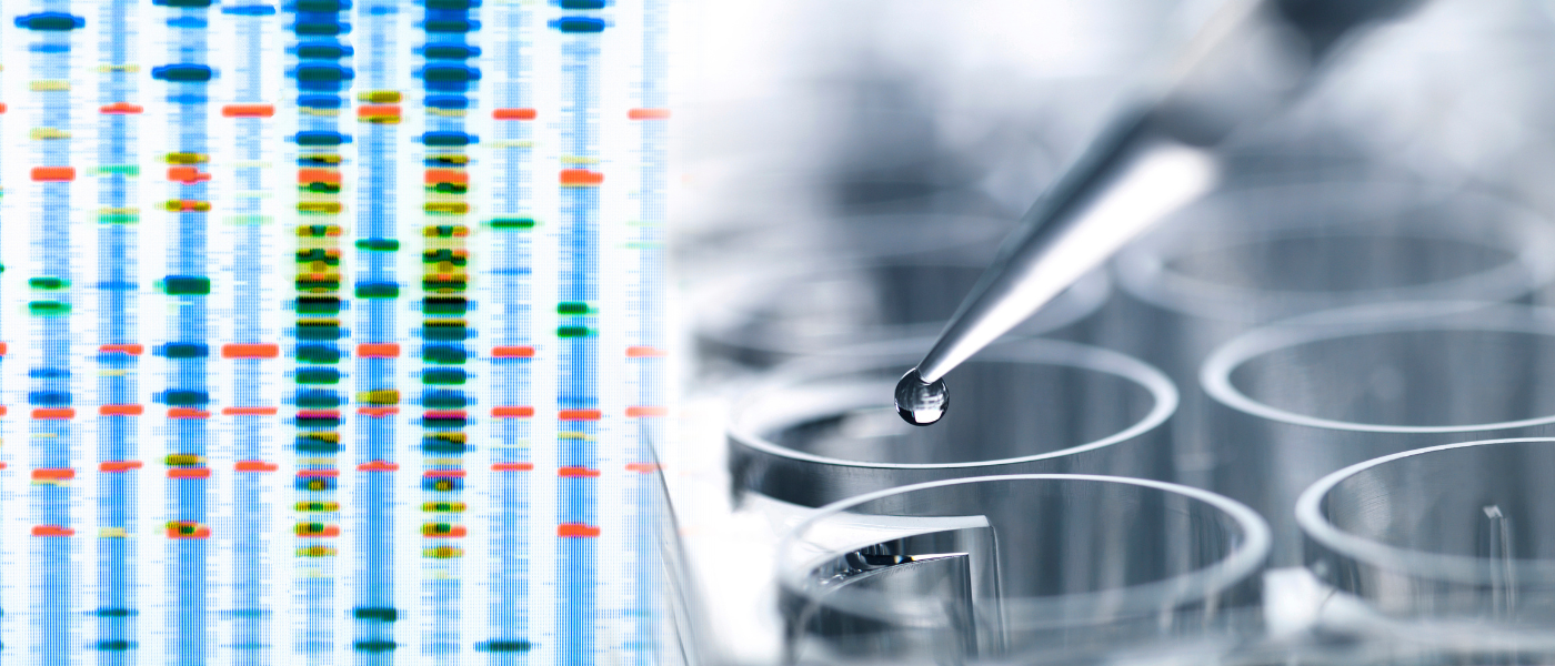 Importance of Regular Water Testing in Vermont for Health & Environment